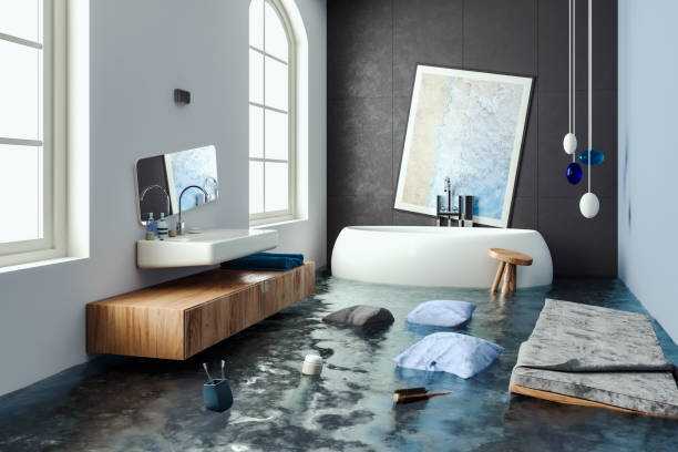 Best Mold removal after water damage  in Wagon Wheel, AZ