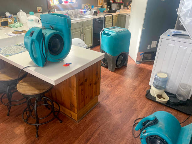 Best Basement water damage restoration  in Wagon Wheel, AZ