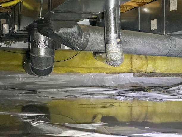 Best Ceiling water damage repair  in Wagon Wheel, AZ