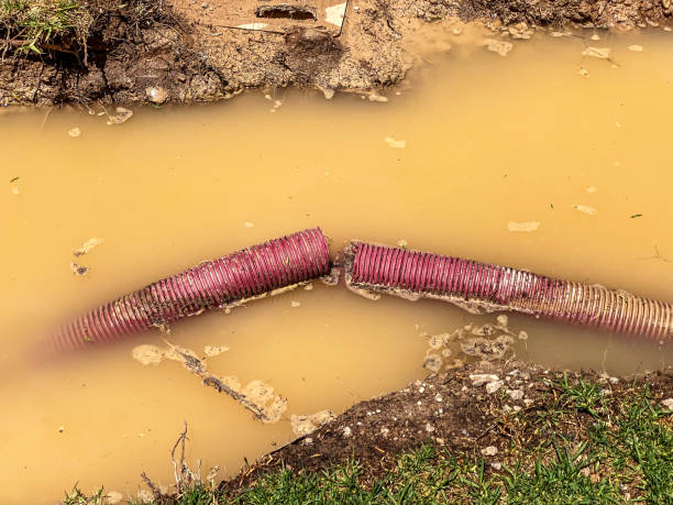 Best Emergency water damage restoration  in Wagon Wheel, AZ